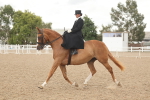 SBM_06325