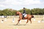 SBM_009359