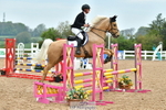 Cls 1 British Novice & Open portfolio