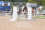 BPP_4497