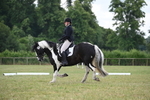 WJ6_6646