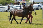 DSC05489