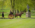 Attelage -6