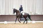 SBM_016374