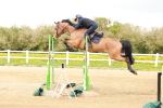 SBM_002975