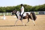 SBM_007441