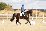 SBM_003371