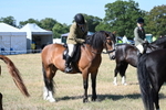 Class 9 Mountain & Moorland Ridden portfolio