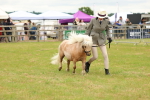 SBM_04457