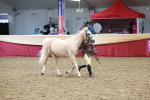 SBM_17459
