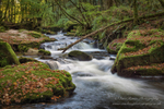 Autumnal Splendour 3