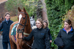 161125-Race 6-Sinchi Roca-1819