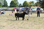 WJ6_7024