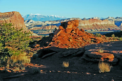 Capital Reef National Park portfolio
