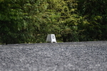 WJ5_1374