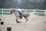 SBM_004397