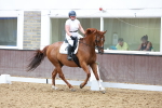 SBM_001481