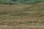 Hartside-6