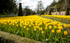 04May2013: Photo 124