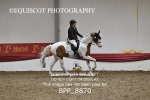 BPP_8870
