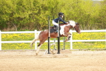 SBM_003725