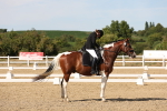 SBM_003881