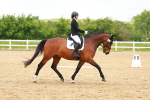 SBM_006579