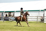 SBM_15571