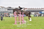 BPP_6737