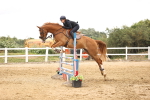 SBM_003305