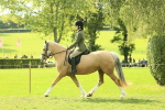 SBM_62652