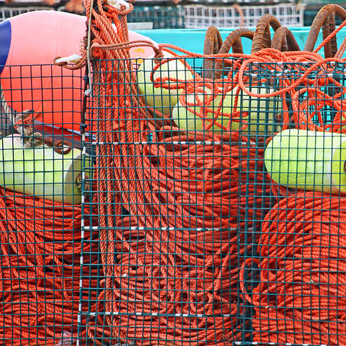 Lobster boat buoys & line show off their bright colors.