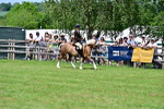 SBM_07952