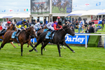 150526-Race 7-Portcullis-8748