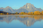 Mt Moran Morning
