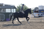 SBM_07920