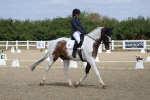 SBM_021047
