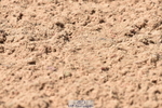 230810A-121200-01002