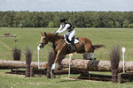BVHT 140517  IXC -268