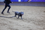 SBM_005997