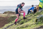 Loughrigg-87