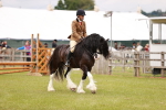 SBM_06182