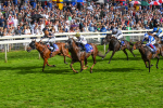 260823-Race 5-Summerghand-Albasheer-0768