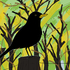 Blackbird