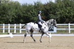 SBM_001195