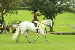 SBM_74976