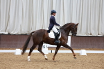 Class 17 - FEI PSG portfolio