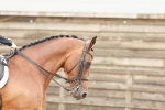 SBM_001782