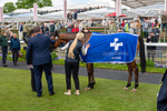 Race 1 1.45pm Yorkshire Equine Practice Handicap portfolio