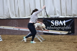 SBM_005881